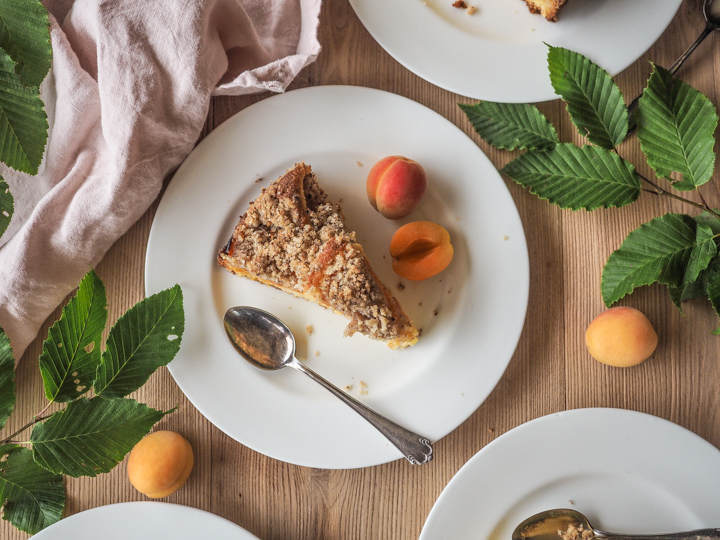 Rezept I Aprikosenkuchen mit Haselnussstreusel